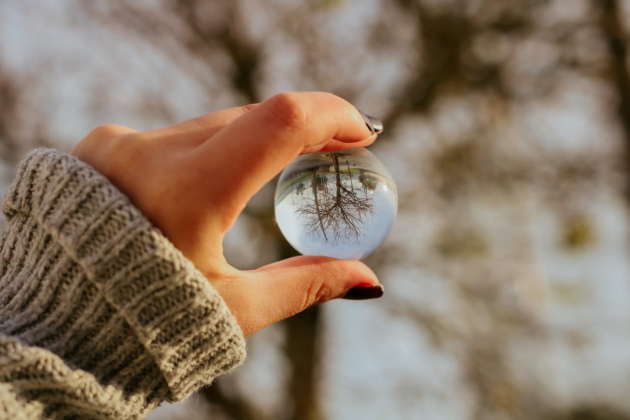 hand plant wood organism gesture finger 1684572 pxhere.com